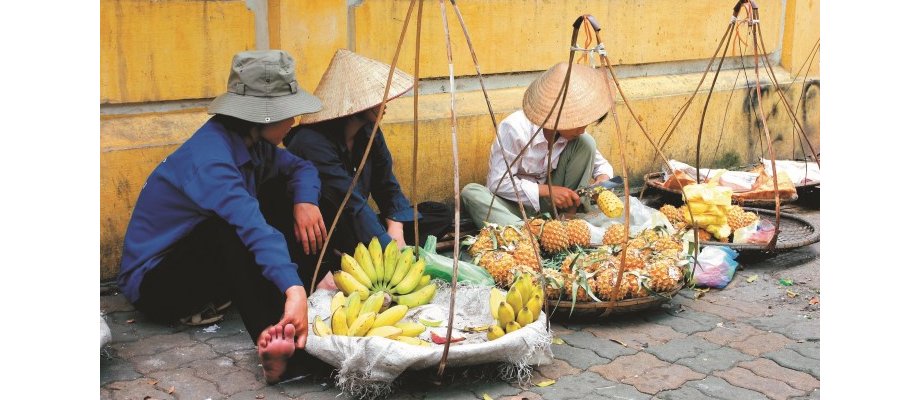 Vietnam Food Explorer
